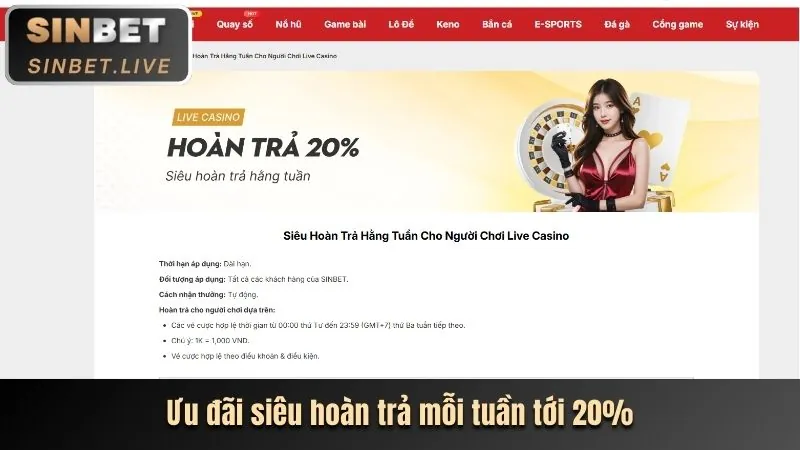 Hoàn trả hàng ngày cho cá cược thể thao và casino tại tele789 login